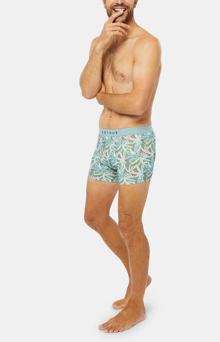 Boxer - Tigre – Image 5